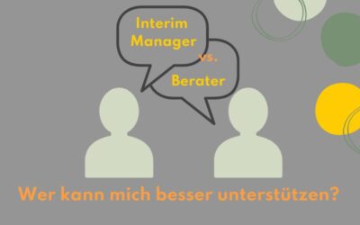 Interim Manager vs. Berater: Wer kann mich besser unterstützen?